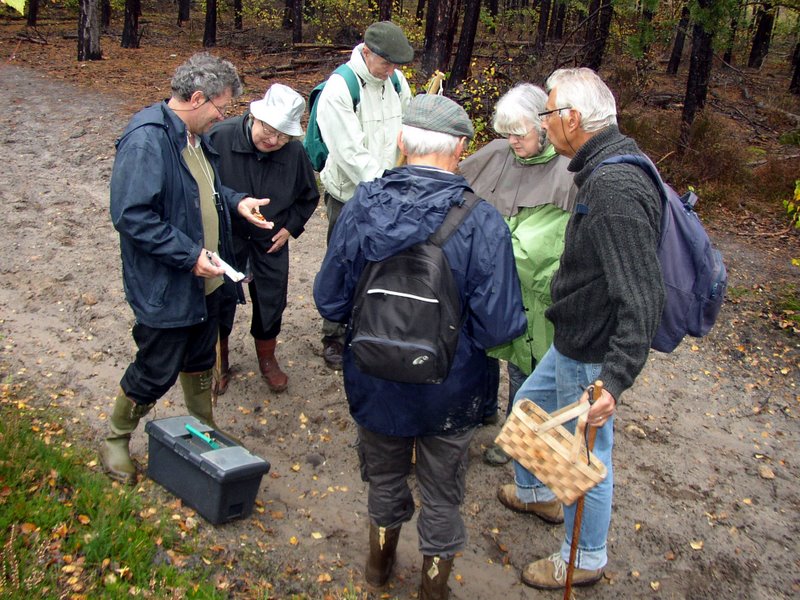 Champignons Le Mesle 04